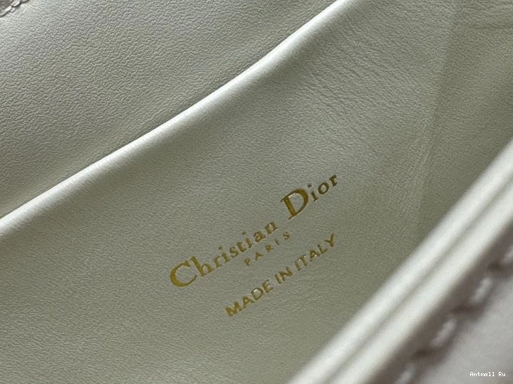 Christian StreetReady Bags 66849 Montaigne Dior 0714